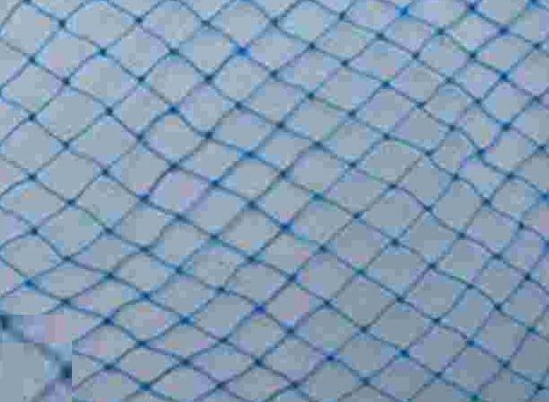 9 Ply HDPE Blue Safety Nets