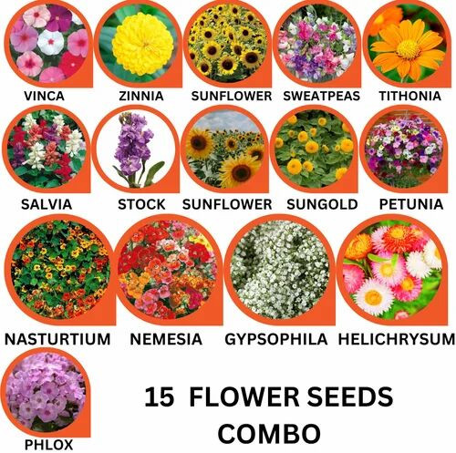 15 Flower Seeds Combo Pack