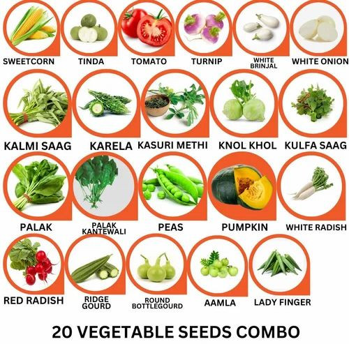 20 Vegetable Seeds Combo Pack