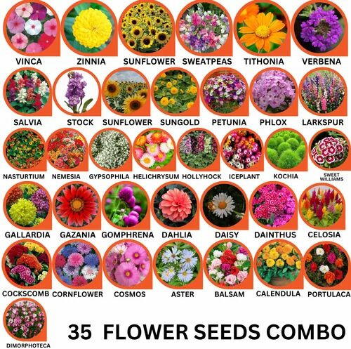 35 Flower Seeds Combo Pack