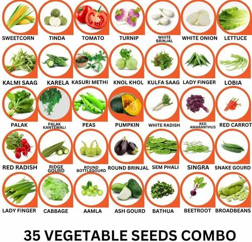 35 Vegetable Seeds Combo Pack