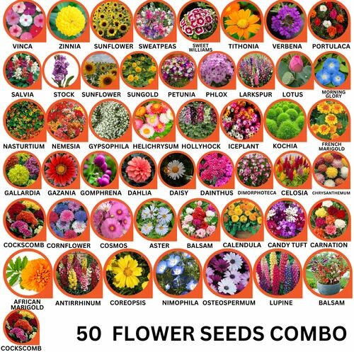 50 Flower Seeds Combo Pack