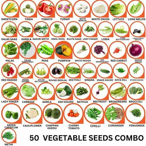 50 Vegetable Seeds Combo Pack