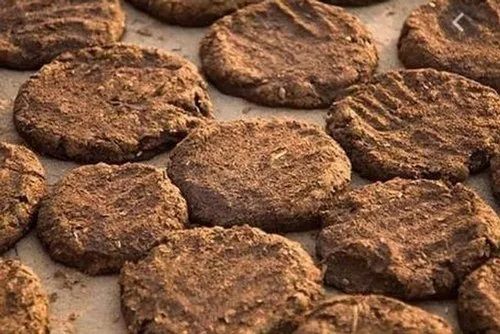 Cow Dung