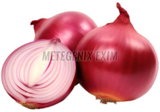 Fresh Red Onion