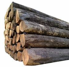 Ghana Teak Wood Logs