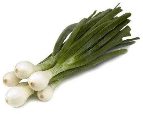 Fresh Green Onion