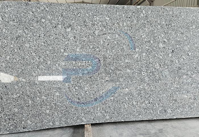 Coin Grey Granite Slab