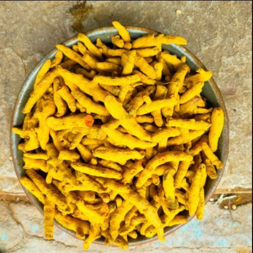 Dried Turmeric Finger