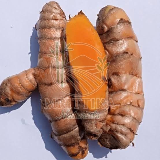 Lakadong Turmeric Finger