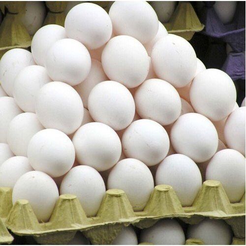 Farm Raised White Eggs