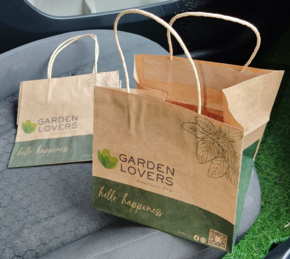 Printed Paper Carry Bags