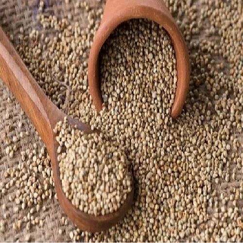 Natural Pearl Millet Seeds