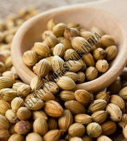 Coriander Seeds