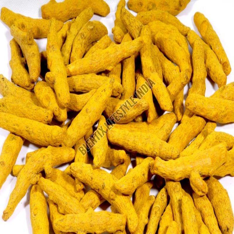 Dry Turmeric Finger