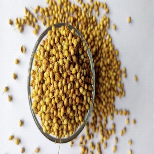 Coriander Seeds