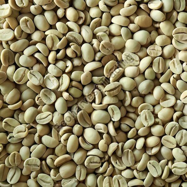 B Grade Washed Arabica Plantation Coffee Beans