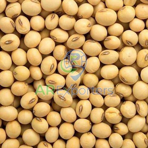 Fresh Soyabean Seed