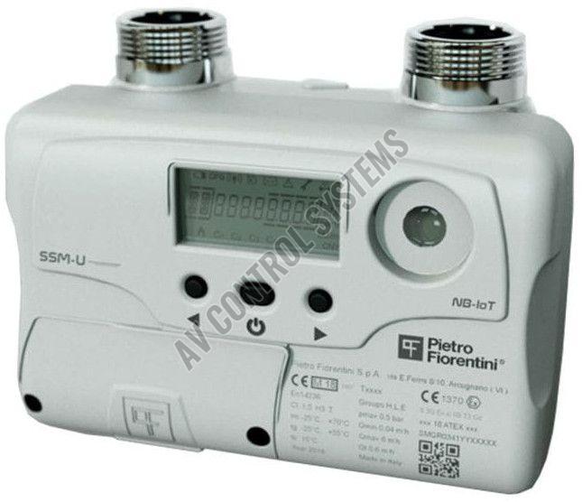 Pietro Fiorentini Gas Meter