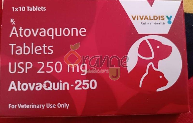 Atovaquin 250mg Tablets