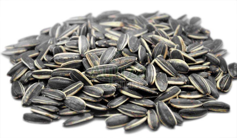 Natural Black Sunflower Seeds