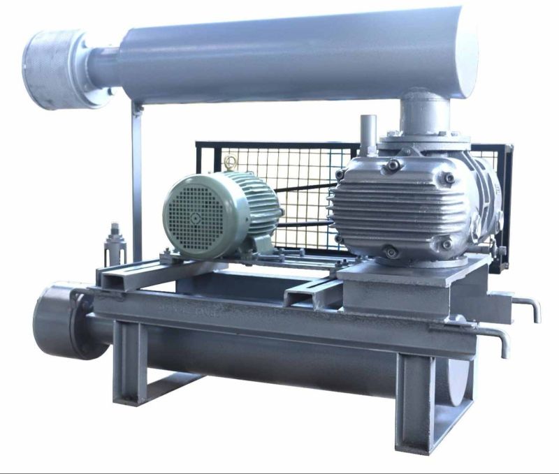 Twin Lobe Air Blower