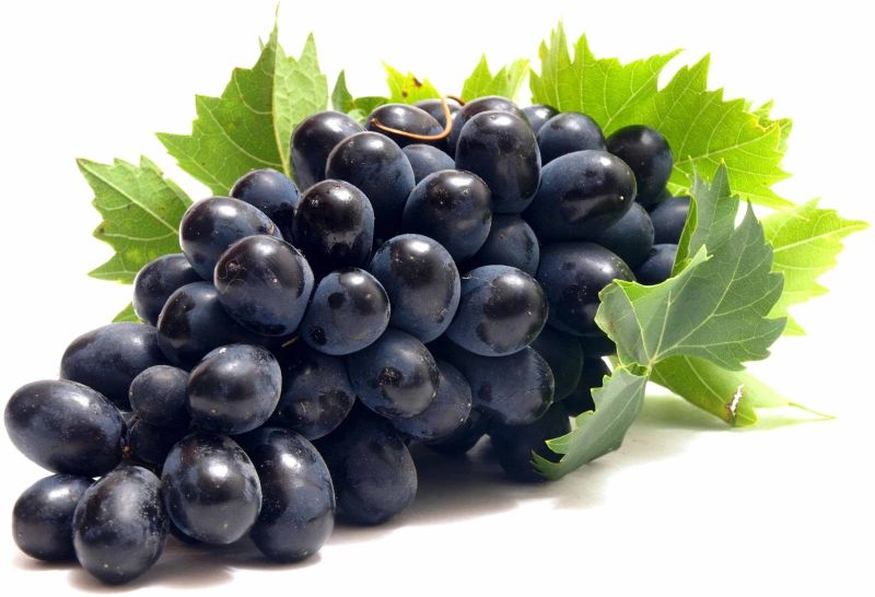 A Grade Fresh Black Seedless Grape