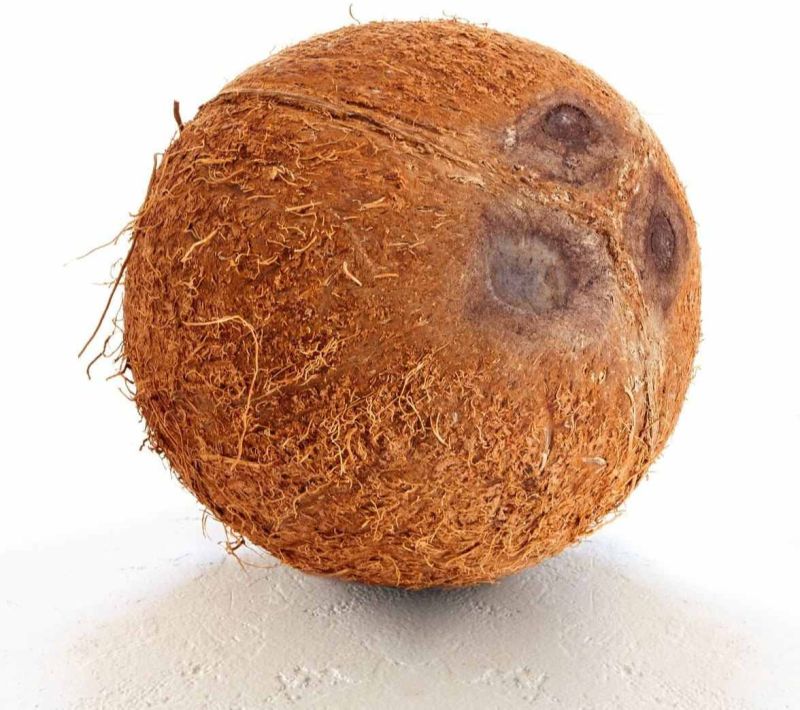 A Grade Raw Coconut