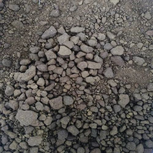 Mustard Doc Cattle Feed