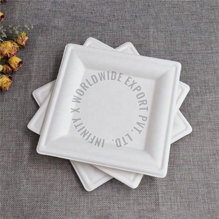 Square Sugarcane Bagasse Disposable Plate