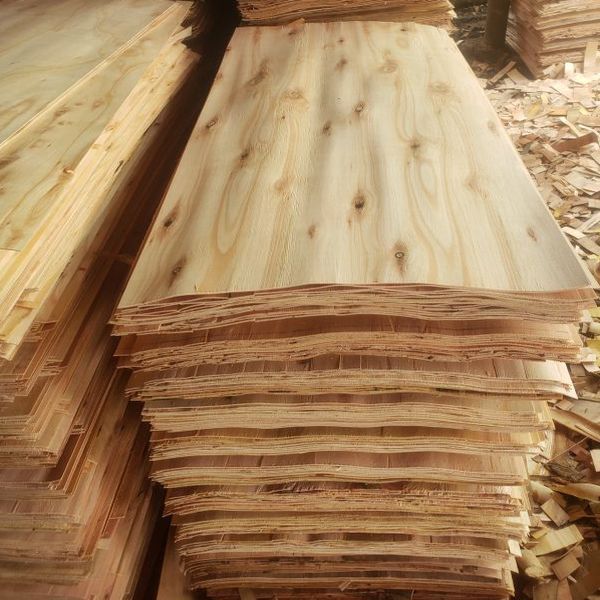 Eucalyptus Core Veneer