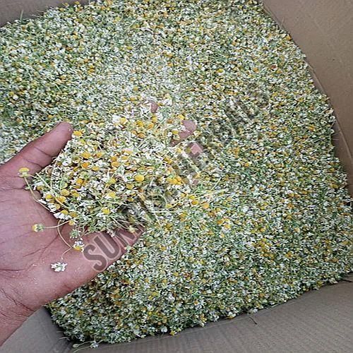 Dried Chamomile Flower