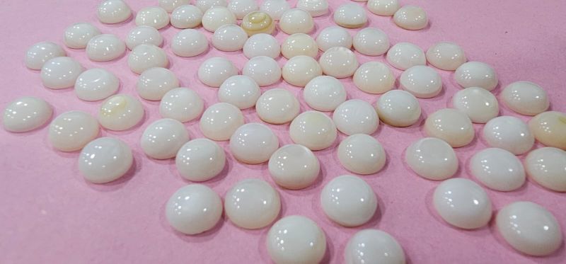 Half Round Mop Shell Nucleus