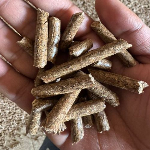 Groundnut Pellets