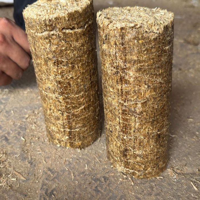 Mustard Stalk Briquette