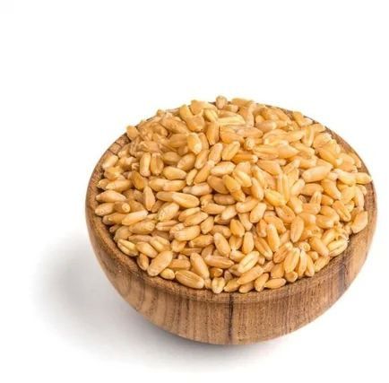 Wheat Grains