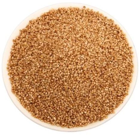 Kodo Millet Seeds