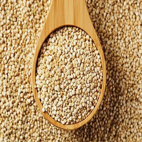 Quinoa Millet Seeds