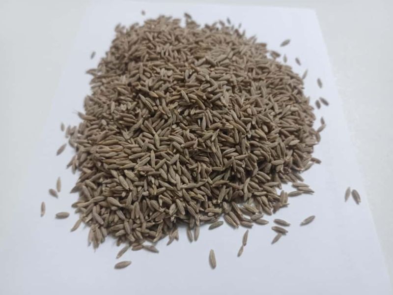 Black Cumin Seeds
