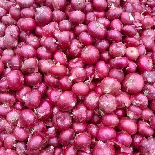 Red A Grade Fresh Onion