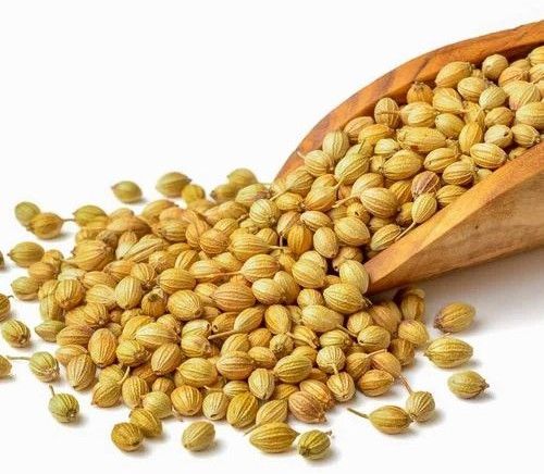 Whole Bold Grade Coriander Seeds
