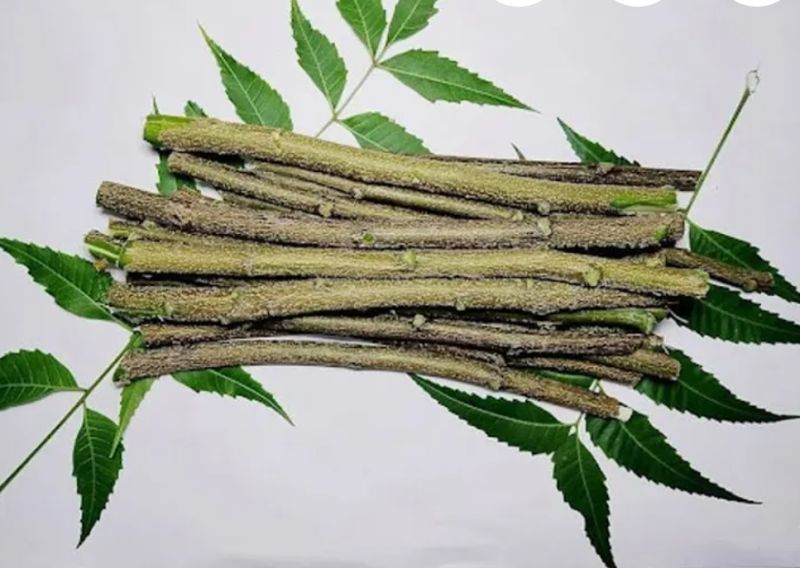 Natural Neem Chew Sticks