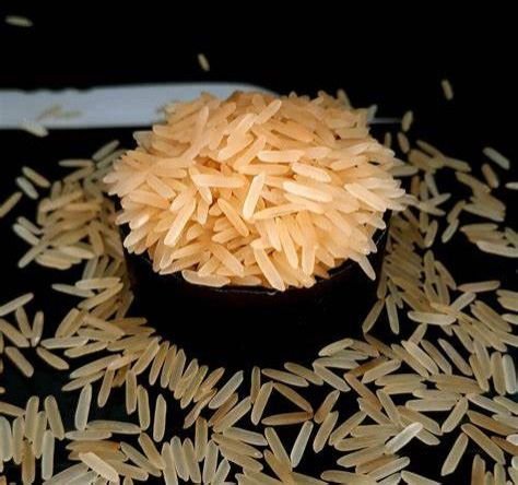1509 Golden Sella Rice