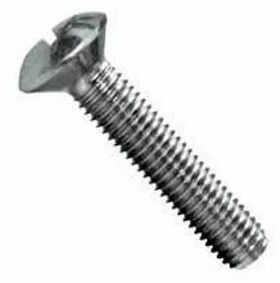 Carbon Slotted Head Screw