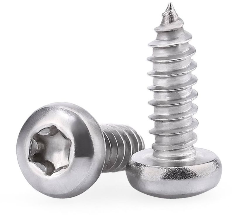 Stainless Torx Drive Flat Head Screw