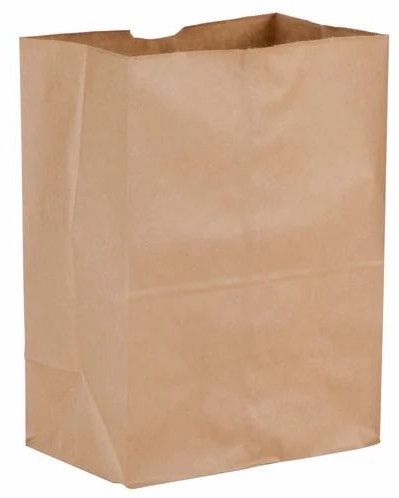Recycled Brown Paper Grocery Bag