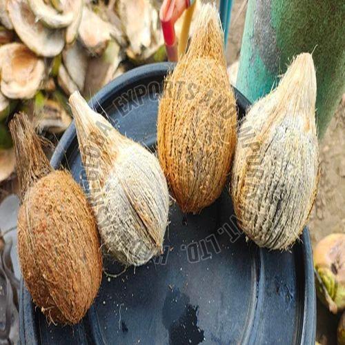 Semi Husked Coconut