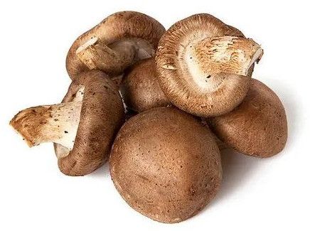 Shiitake Mushroom