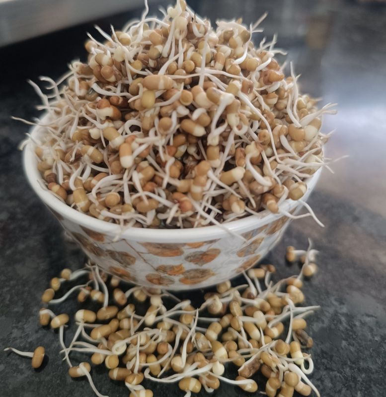Dehydrated Moth Bean Sprouts