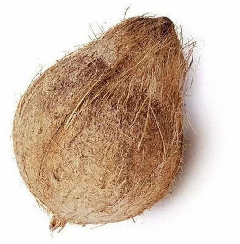 Coconuts